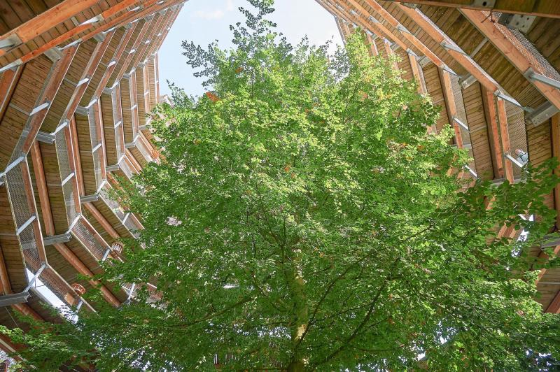 Hoch hinaus im Naturerbe Zentrum Rügen