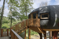 Baumhaus-Zuwachs im Sonnenresort Ettershaus