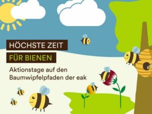 Aufmerksamkeit schaffen fürs Bienen-Wohl