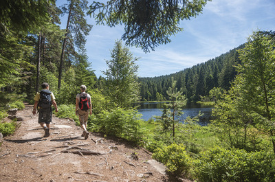 Fasten-Wanderwochen im Harz